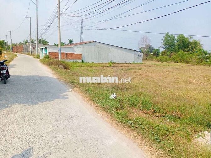 Cần bán đất xây dựng nhà xưởng kho bãi.