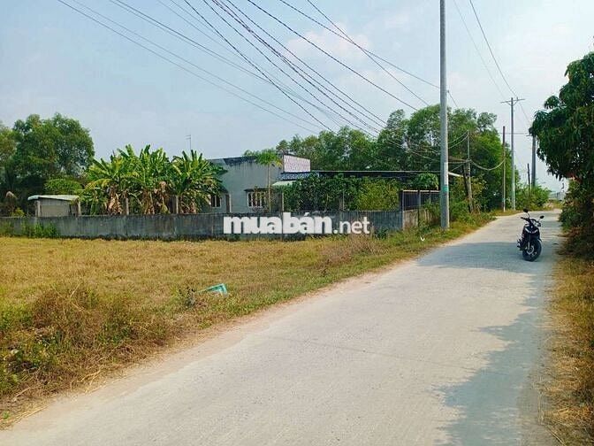 Cần bán đất xây dựng nhà xưởng kho bãi.