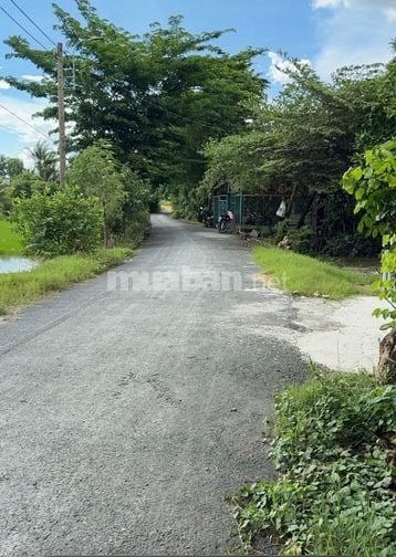 Đất mặt tiền Xã Hưng Long, giáp khu đô thị Hưng Long mới