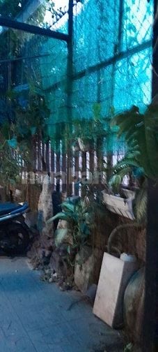 Cho thuê dài hạn nhà sân vườn, hẻm hai xe hơi, đường Cách mạng tháng 8