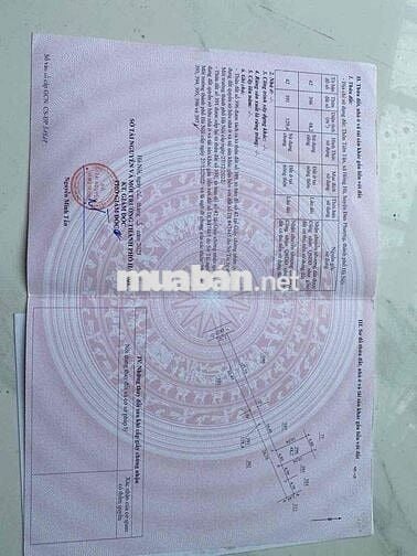 chính chủ bán đất hồng hà đan phượng