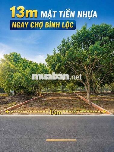BÁN ĐẤT MẶT TIỀN 13M GẦN KCN LONG KHÁNH - TP ĐỒNG NAI