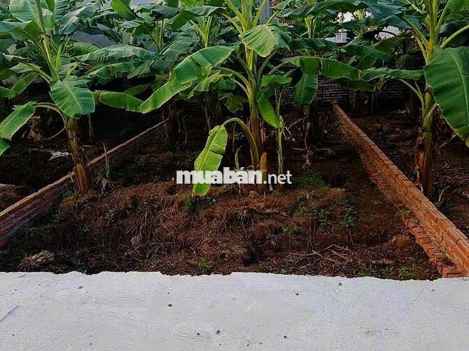 chính chủ bán đất hồng hà đan phượng