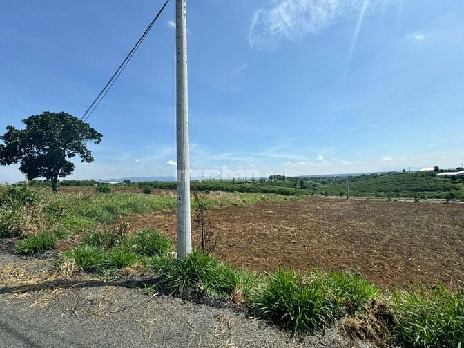 Công ty Đấu giá hợp danh Lam Sơn Sài Gòn THÔNG BÁO ĐẤU GIÁ TÀI SẢN