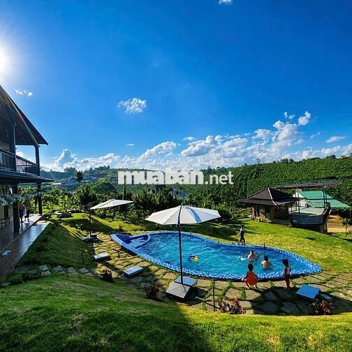 Đất Nền Bảo Lộc Đón Đầu Cao Tốc | Giá 1,2 Tỷ (thương lượng), Sổ Đỏ 