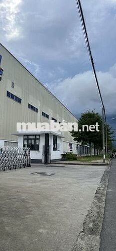 SOẠN HÀNG, SƠ CHẾ THỰC PHẨM ĐÔNG LẠNH KHO ITL