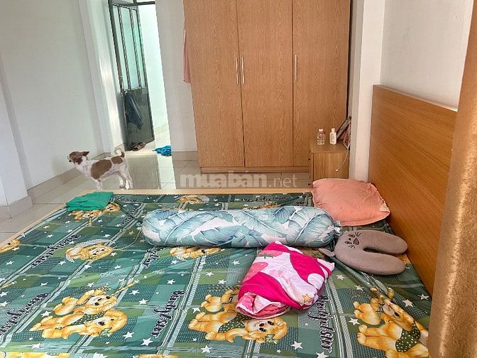 BÁN NHÀ HẺM THỐNG NHẤT PHỪỜNG 16 GÒ VẤP