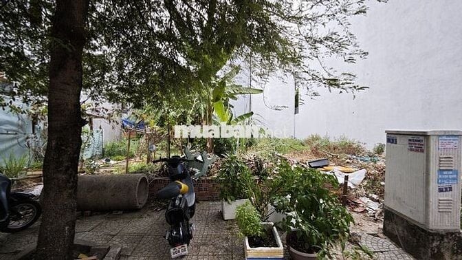 Chính chủ bán đất thổ cư An Phú Đông Q12, 55,6m2
