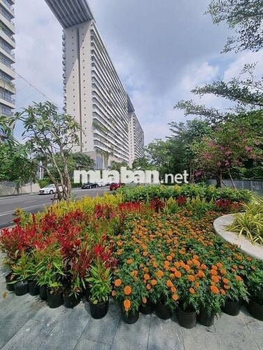 Chủ bán CC Diamond Lotus Riverside Q8 1,78 tỷ 75m2 2PN 2WC view đẹp