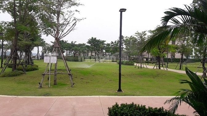 Cần chuyển nhượng biệt thự song lập Swan Bay zone 8 hướng đông nam
