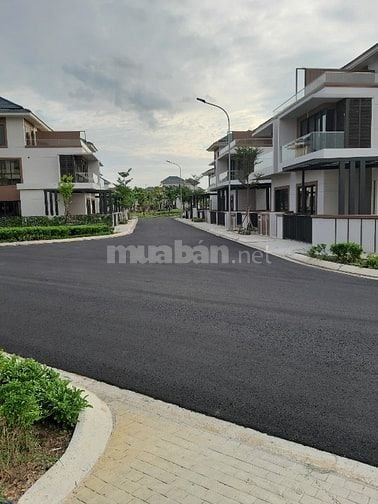 Cần chuyển nhượng biệt thự song lập Swan Bay zone 8 hướng đông nam