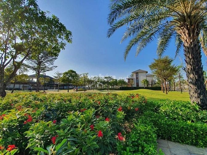 Cần chuyển nhượng biệt thự song lập Swan Bay zone 8 hướng đông nam