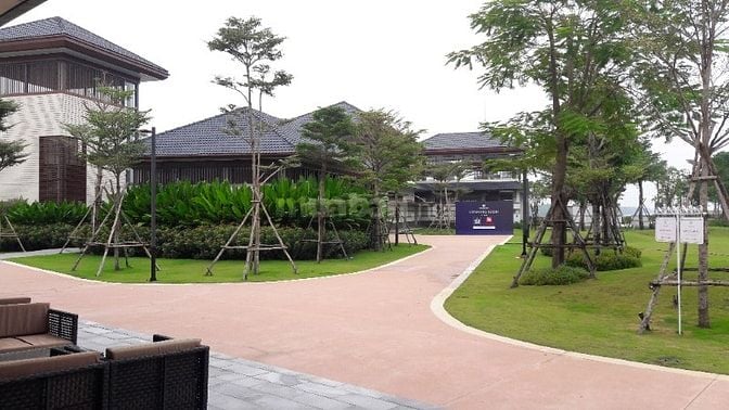 Cần chuyển nhượng biệt thự song lập Swan Bay zone 8 hướng đông nam