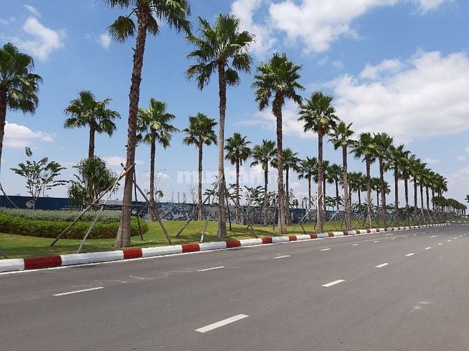 Cần chuyển nhượng biệt thự song lập Swan Bay zone 8 hướng đông nam