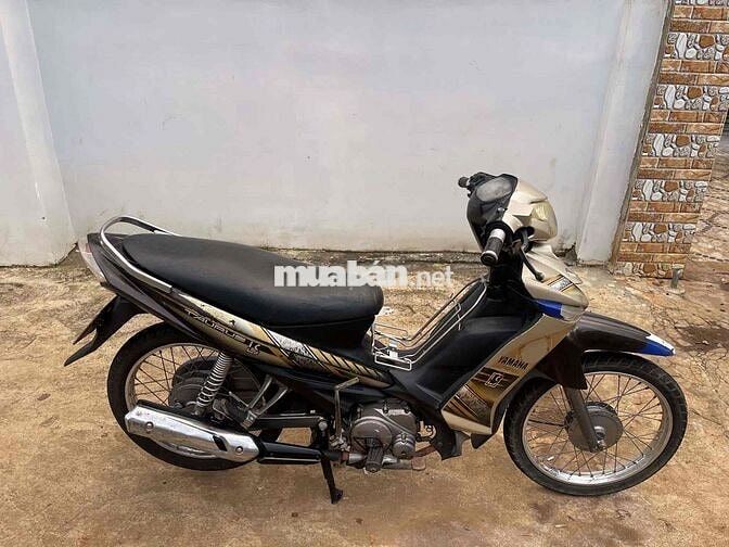 Yamaha Taurus Xe số Đen, Vàng
