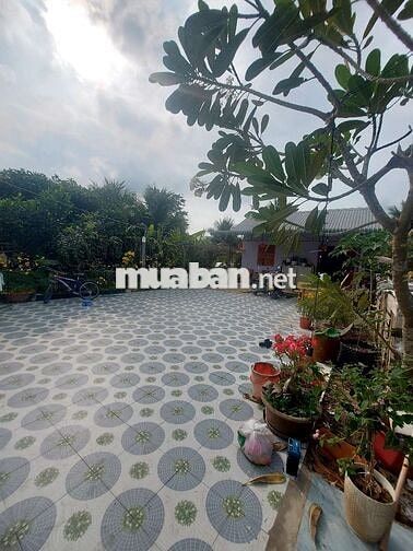 bán nhà vườn Thủ Thừa Long An cũ