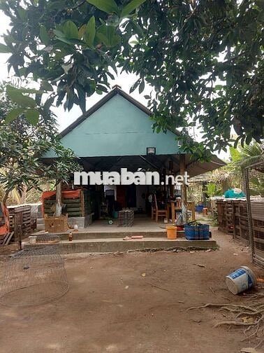 bán nhà vườn Thủ Thừa Long An cũ