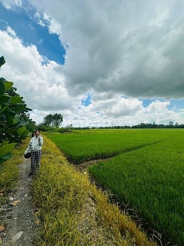 BÁN ĐẤT NÔNG NGHIỆP CHÍNH CHỦ TẠI HUYỆN CHÂU THÀNH, TỈNH ĐỒNG THÁP