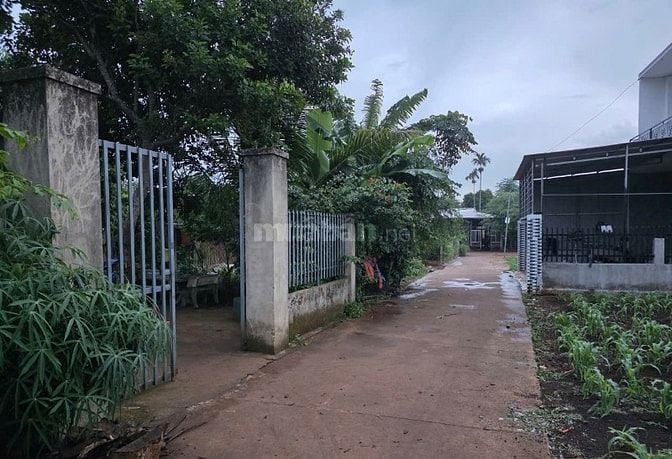 BÁN ĐẤT NỀN KHU DÂN CƯ BUÔN JU – P. TÂN AN, BUÔN MA THUỘT