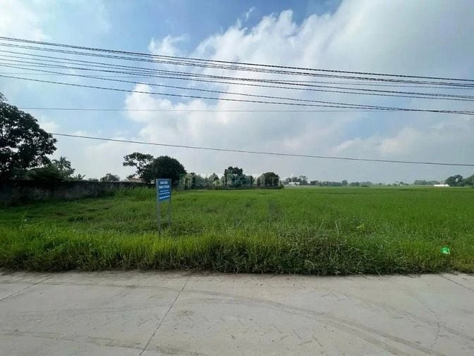 Công ty Đấu giá hợp danh Lam Sơn Sài Gòn THÔNG BÁO ĐẤU GIÁ TÀI SẢN