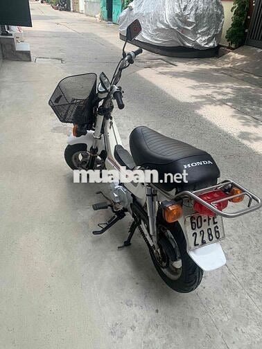 Honda Cub Chaly 81/50cc Trắng có đề 3 số tới