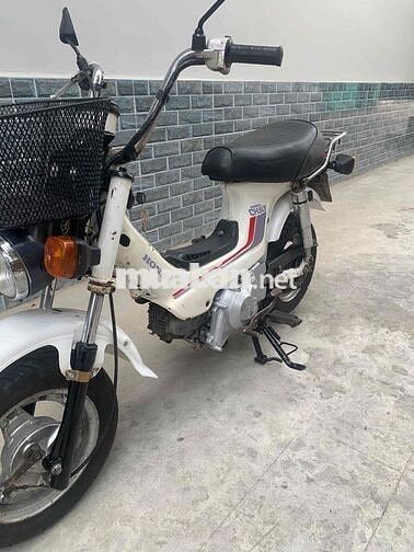 Honda Cub Chaly 81/50cc Trắng có đề 3 số tới