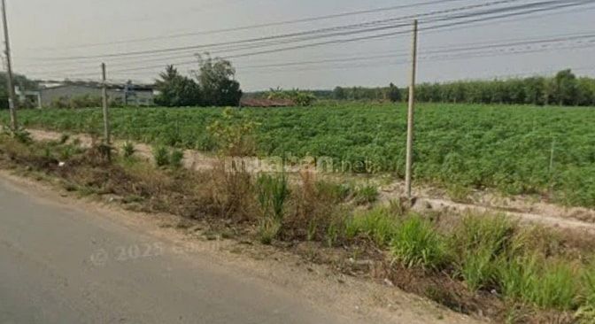 Bán đất mặt tiền đường 793 Ấp Hội Thanh, xã Tân Hội, tỉnh Tây Ninh