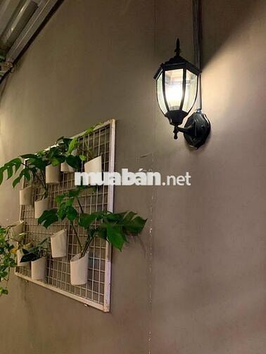 Cần sang quán cà phê kết hợp đồ ăn Hàn Quốc