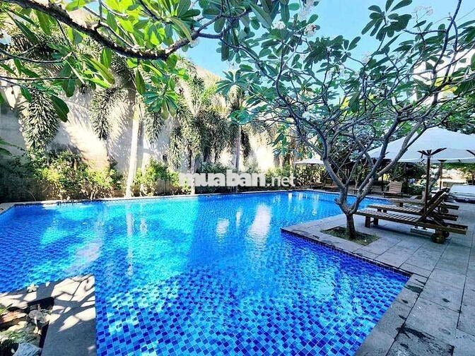 🏝️Căn Hộ Chung Cư 1PN - 2PN / Gym / Hồ Bơi / Chổ Đậu ô tô Giá Chỉ 8Tr🏝️