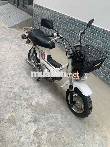 Honda Cub Chaly 81/50cc Trắng có đề 3 số tới