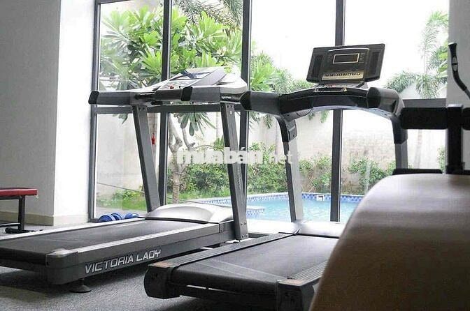 🏝️Căn Hộ Chung Cư 1PN - 2PN / Gym / Hồ Bơi / Chổ Đậu ô tô Giá Chỉ 8Tr🏝️