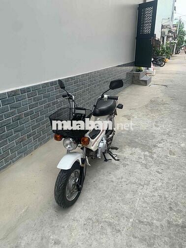 Honda Cub Chaly 81/50cc Trắng có đề 3 số tới