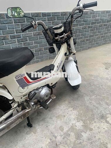 Honda Cub Chaly 81/50cc Trắng có đề 3 số tới