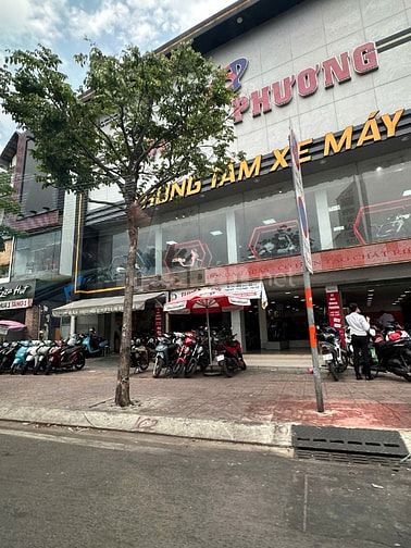 Ngộp Tôi bán 4lau,mặt tiền Phạm Hùng,P10,Q8,5.5x17m,thuê 40tr,16ty