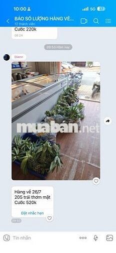 BÁN NỀN ĐẸP ĐỐI DIỆN CHUNG CƯ 