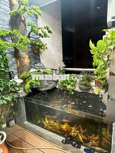 Chính chủ cho thuê CH C6 Mỹ Đình 1, dt 130m2,full nội thất cao cấp