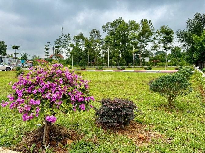 Bố cháu cần bán gấp lô đất để trả lãi ngân hàng tại xã Cổ Đông cũ