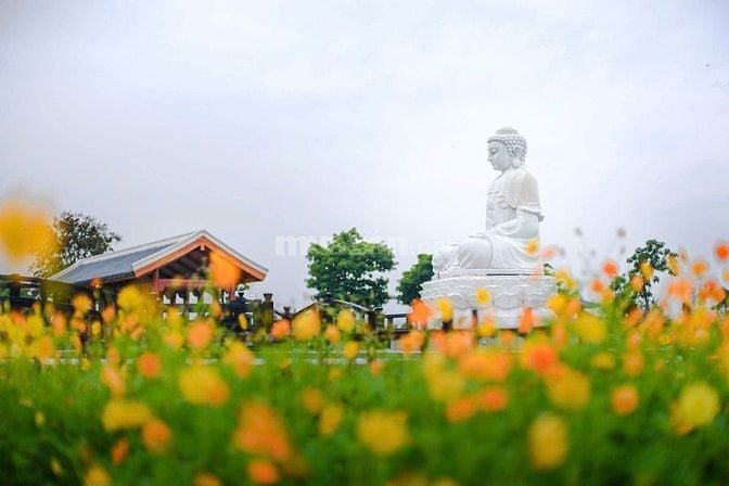 Đất sinh phần giá rẻ tại Đồng Nai