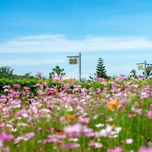 Đất sinh phần giá rẻ tại Đồng Nai
