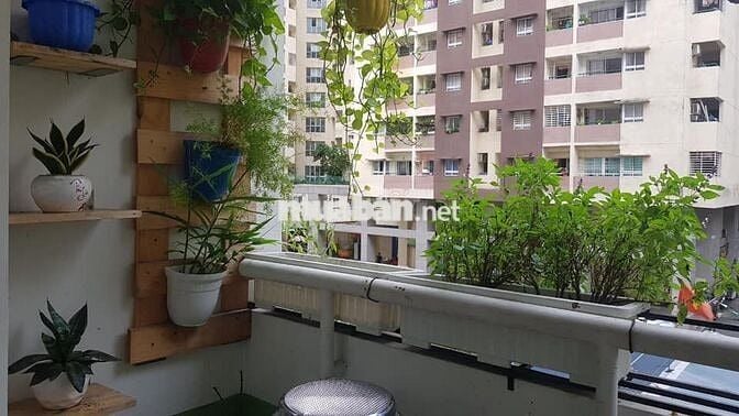 Chủ đẩy nhanh Khang Gia Gò Vấp giá tốt chỉ 1,86ty với 71m2