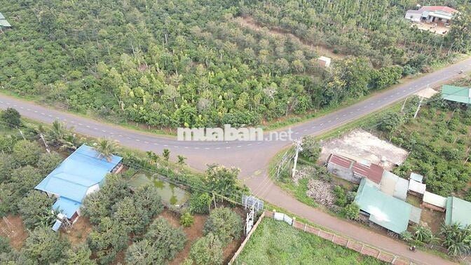 bán 3,2ha với 139m mặt tiền TL8 Eatul