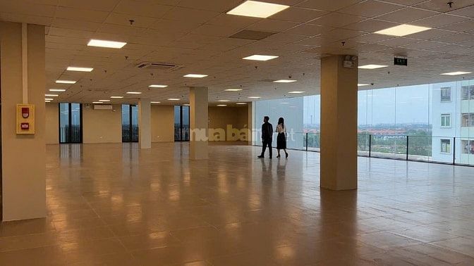 Cho thuê Sàn  toà nhà Việt Đức AM Group cạnh KCN Quang Minh, HN DT: 30