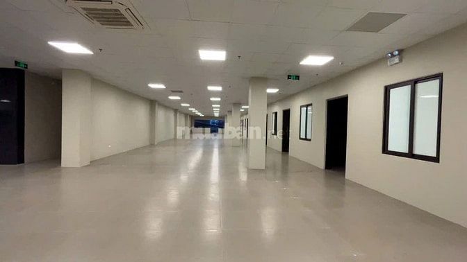 Cho thuê Sàn  toà nhà Việt Đức AM Group cạnh KCN Quang Minh, HN DT: 30