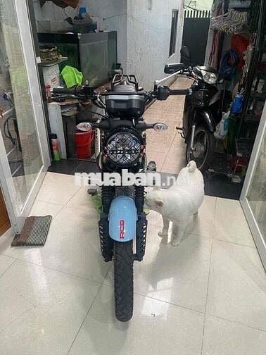 Yamaha PG-1 Xanh dương Lốp to bản