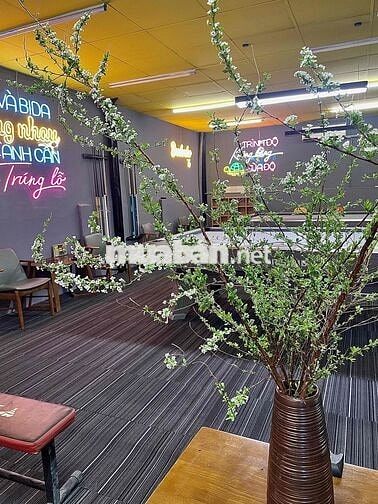TUYỂN NHÂN VIÊN BIDA LƯƠNG 6-8 TRIỆU + Thưởng +Tip