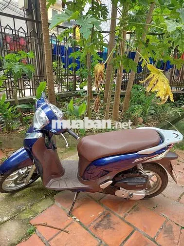 Honda SH mode Xanh Đã sử dụng