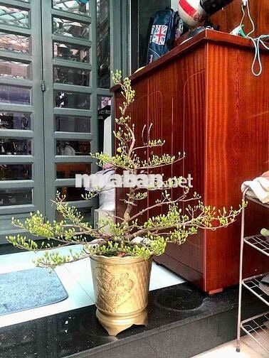 GẦN TTTM GIGAMAL NHÀ 4LẦU 4PN 4WC FULL NỘI THẤT Ở GIA ĐÌNH + VPCTY