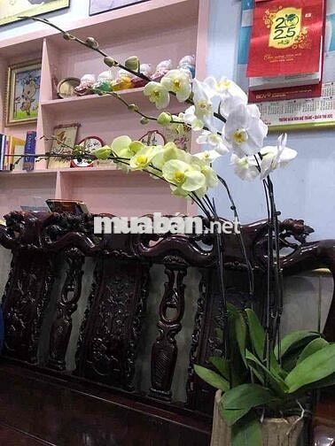 GẦN TTTM GIGAMAL NHÀ 4LẦU 4PN 4WC FULL NỘI THẤT Ở GIA ĐÌNH + VPCTY