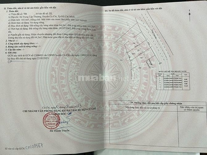  BÁN ĐẤT MẶT TIỀN ĐƯỜNG TRUNG LẬP 30M – TRUNG LẬP THƯỢNG, CỦ CHI