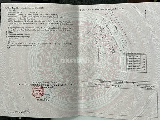  BÁN ĐẤT MẶT TIỀN ĐƯỜNG TRUNG LẬP 30M – TRUNG LẬP THƯỢNG, CỦ CHI